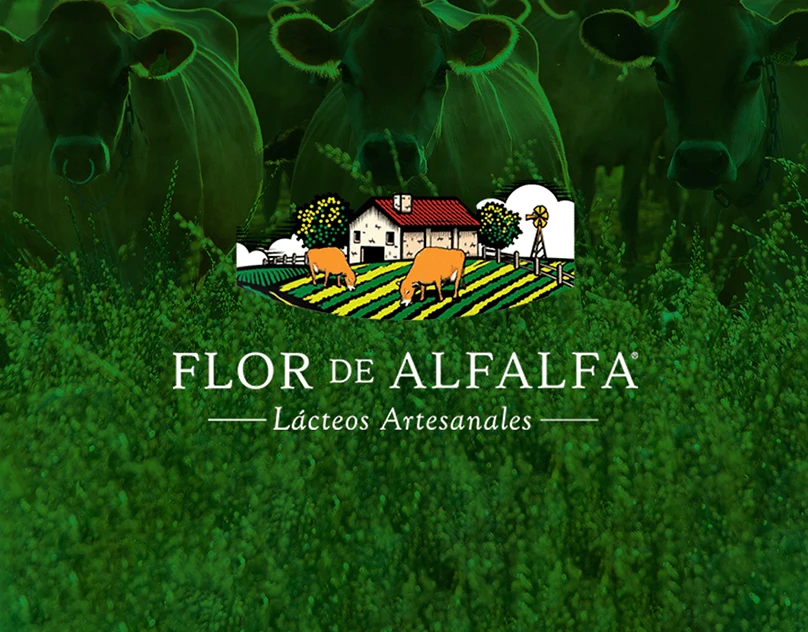 Proyecto web
